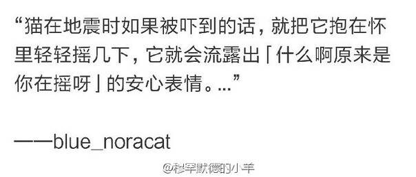 囧图161214:一个乐评，周杰伦听了都想打人