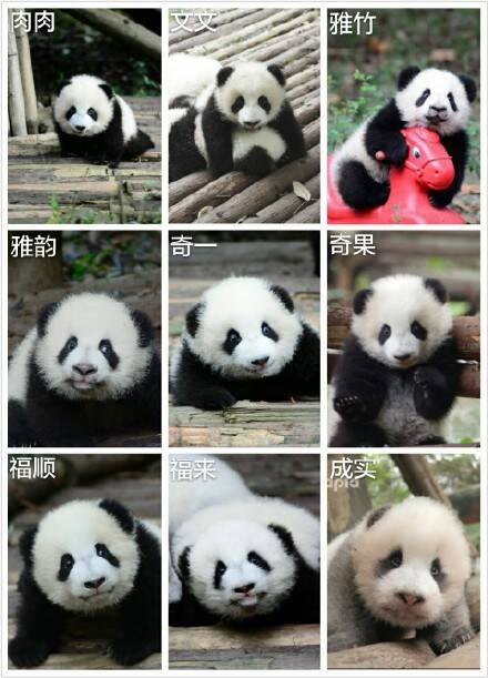  午FUN来了161214:宾馆小卡片玩这种套路 老板心计很重啊