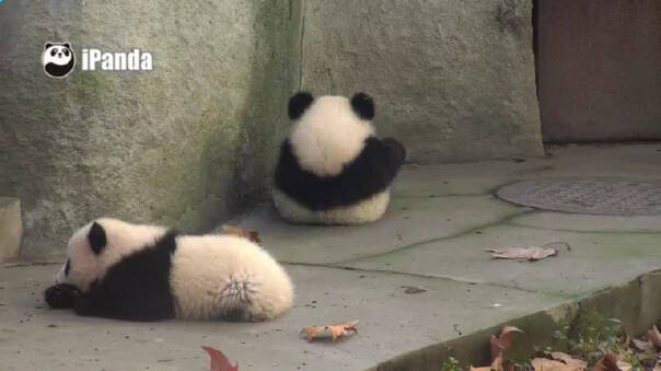  午FUN来了161214:宾馆小卡片玩这种套路 老板心计很重啊