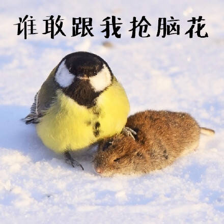  午FUN来了161214:宾馆小卡片玩这种套路 老板心计很重啊