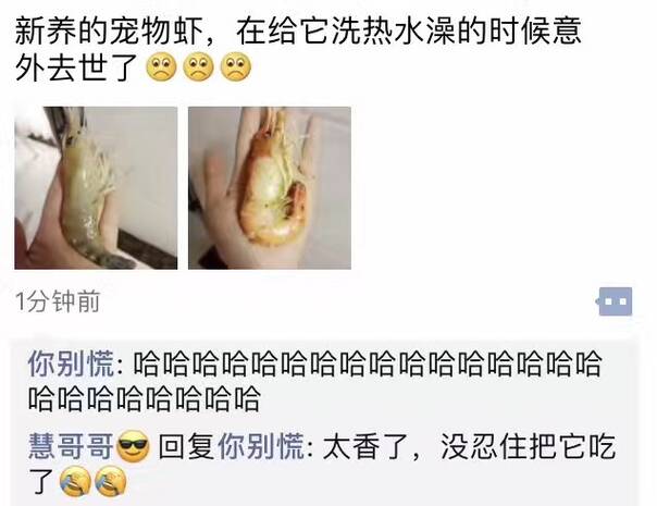 晚FUN来了170320:普京认真画了只猫 结果谁都没看懂