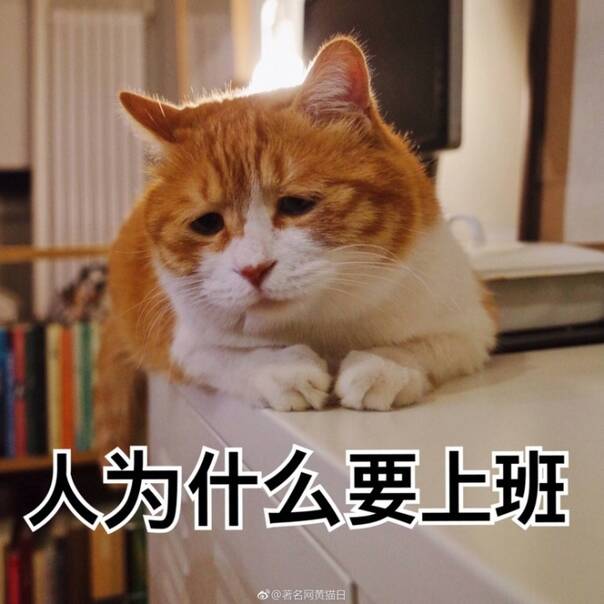FUN来了170330:周六是愚人节公司会骗你上班 千万别信