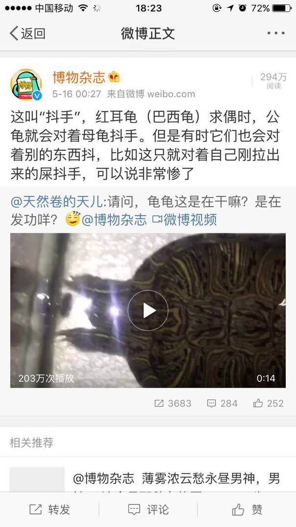 fun来了:韩国女团扭起大秧歌 秧歌申遗刻不容缓 fun来了:韩国女团扭起大秧歌 秧歌申遗刻不容缓图片