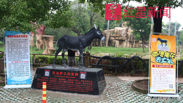 fun来了:他不好好搞音乐 就要沦落到继承家产 fun来了:他不好好搞音乐 就要沦落到继承家产图片