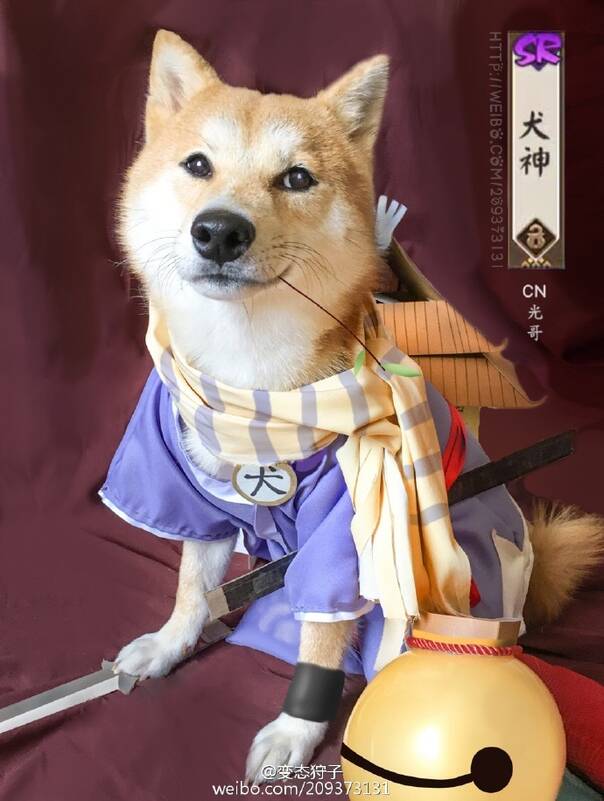 高还原度犬神cos