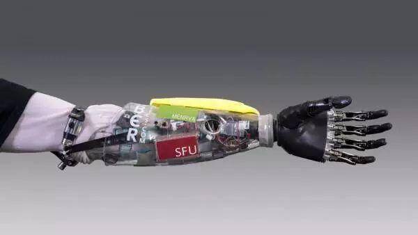 这套系统能够收集传感器追踪到的数据,并实时计算和预测仿生机械臂