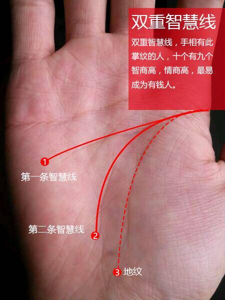 手相有此掌纹的人,十个有九个智商高,最易成为有钱人!
