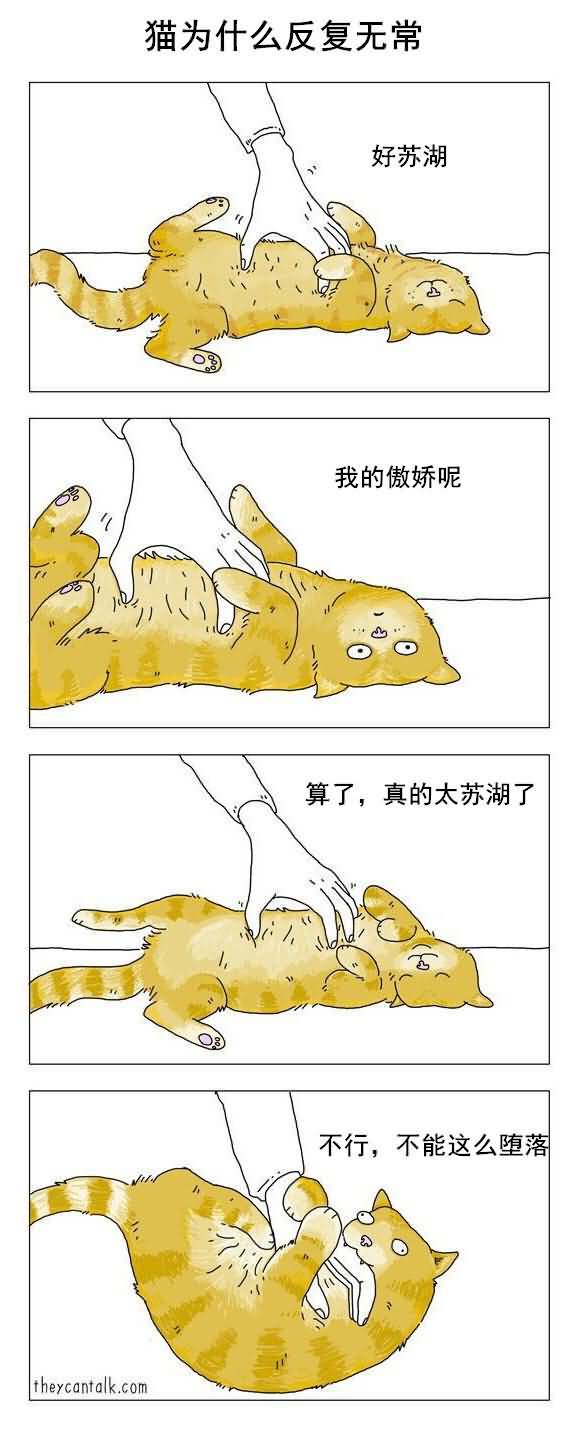  囧图160929:我有一张你刚下凡时的老照片|36图