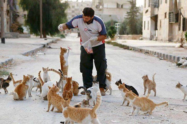 当人们逃离叙利亚时 他选择留下照顾难民和流浪猫