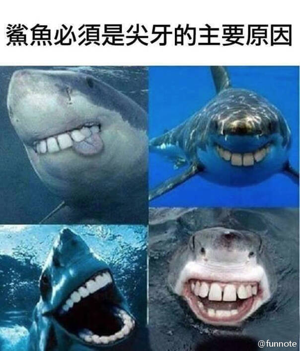上海大鲨鱼bilibili篮球队简称上海大鲨b队 能怼哔哩哔哩队的,只有