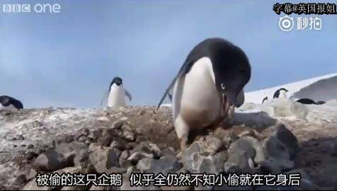午fun来了:看在钱的面子上 我才离开我温暖的被窝 午fun来了:看在钱的面子上 我才离开我温暖的被窝图片