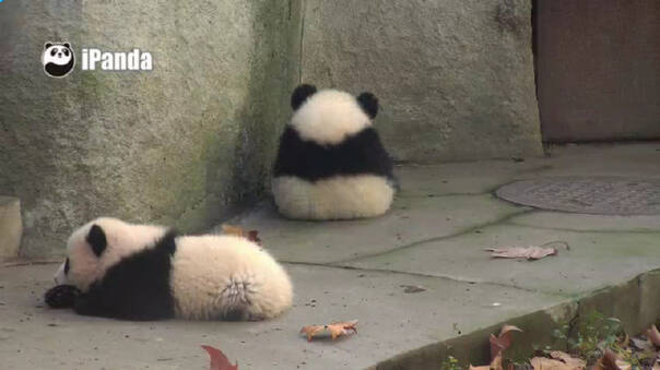  午FUN来了161214:宾馆小卡片玩这种套路 老板心计很重啊