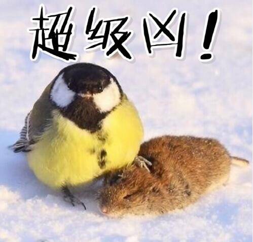  午FUN来了161214:宾馆小卡片玩这种套路 老板心计很重啊