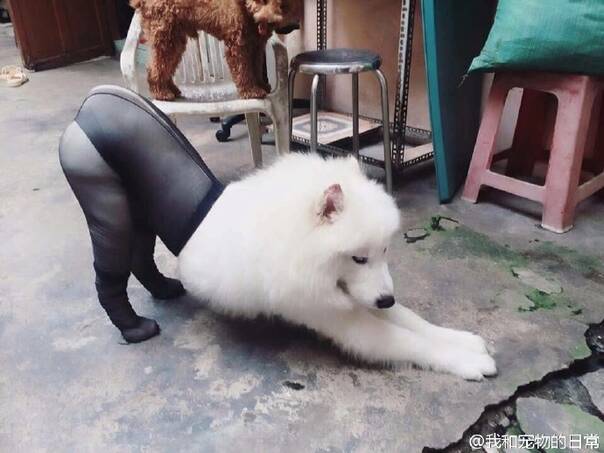 晚FUN来了161222:女生一冬天难道只有一条连裤袜吗？