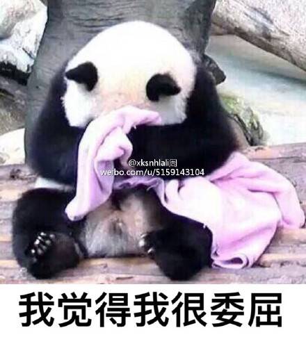 午FUN来了170106:老师让带条小鱼 熊孩子带来一顿午饭