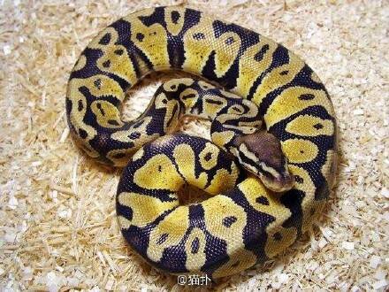 晚FUN来了170119:这个干净的家 是他老婆出轨换回来的