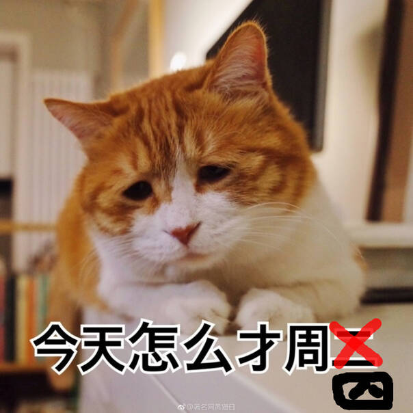 FUN来了170330:周六是愚人节公司会骗你上班 千万别信
