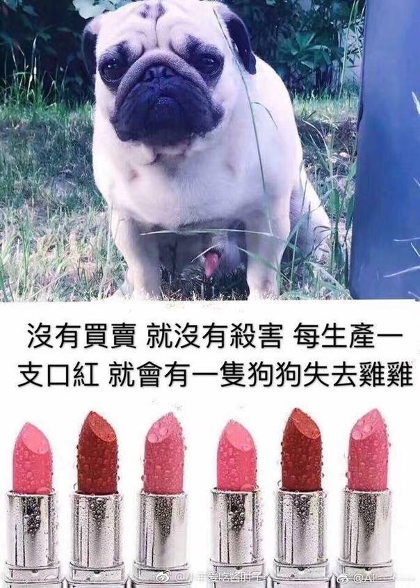 fun来了:他不好好搞音乐 就要沦落到继承家产 fun来了:他不好好搞音乐 就要沦落到继承家产图片