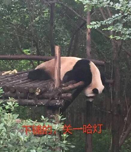 晚FUN来了160929:有什么事不能等十一假期之后再说呢?