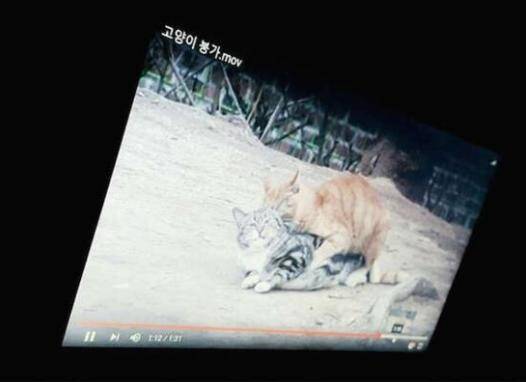  晚FUN来了161010:人倒霉起来 吃火锅时坐哪里都会被烟熏