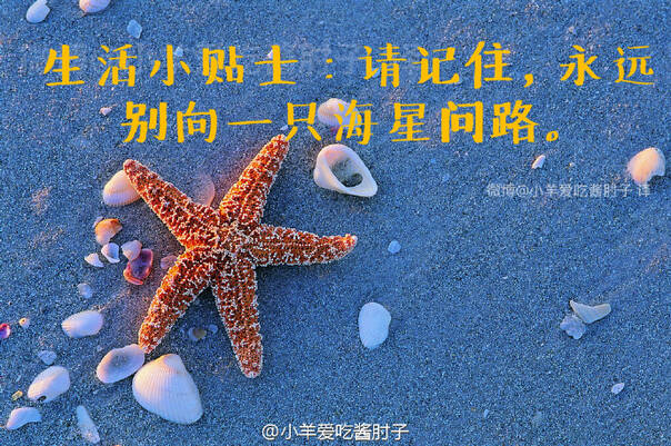  囧图161117:备胎很多 但备胎的故事都差不多|39图