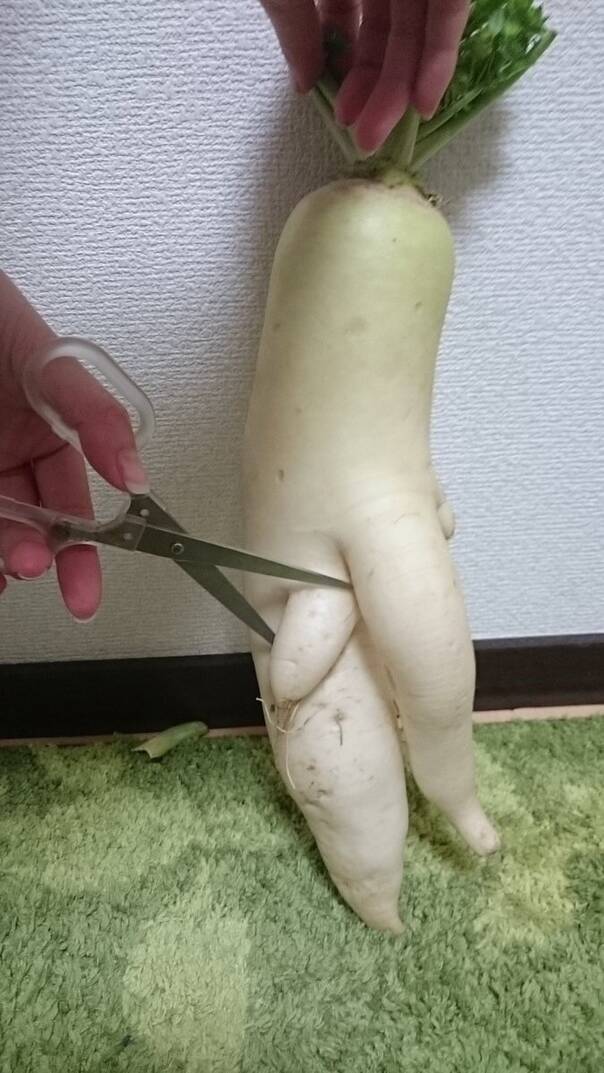 午fun来了:你努力找她说话的样子 像极了的士司机 午fun来了:你努力找她说话的样子 像极了的士司机图片