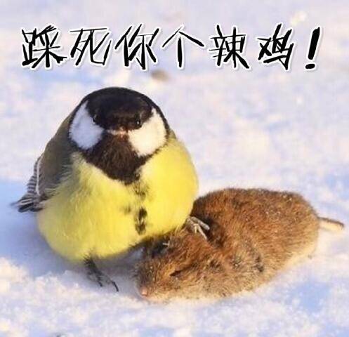  午FUN来了161214:宾馆小卡片玩这种套路 老板心计很重啊