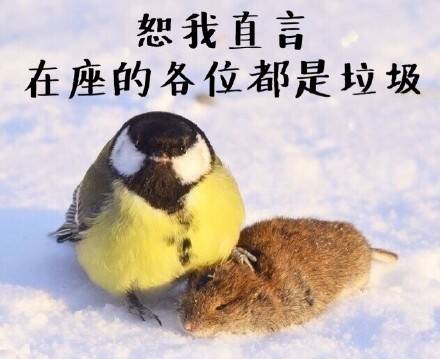  午FUN来了161214:宾馆小卡片玩这种套路 老板心计很重啊