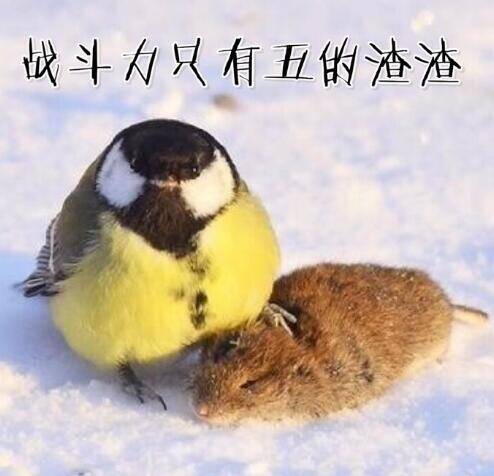  午FUN来了161214:宾馆小卡片玩这种套路 老板心计很重啊