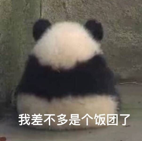  午FUN来了161214:宾馆小卡片玩这种套路 老板心计很重啊