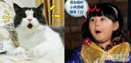  晚FUN来了161222:女生一冬天难道只有一条连裤袜吗？