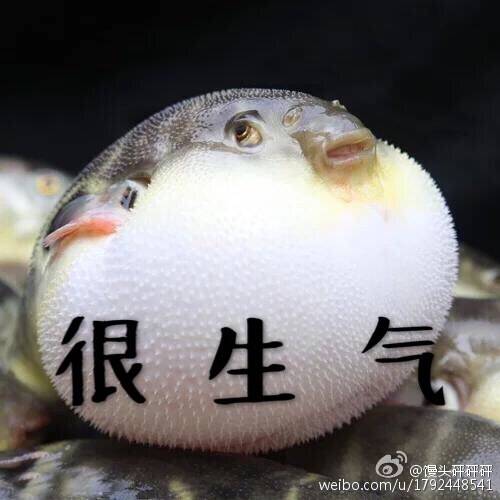  晚FUN来了161222:女生一冬天难道只有一条连裤袜吗？
