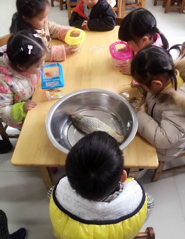 午FUN来了170106:老师让带条小鱼 熊孩子带来一顿午饭