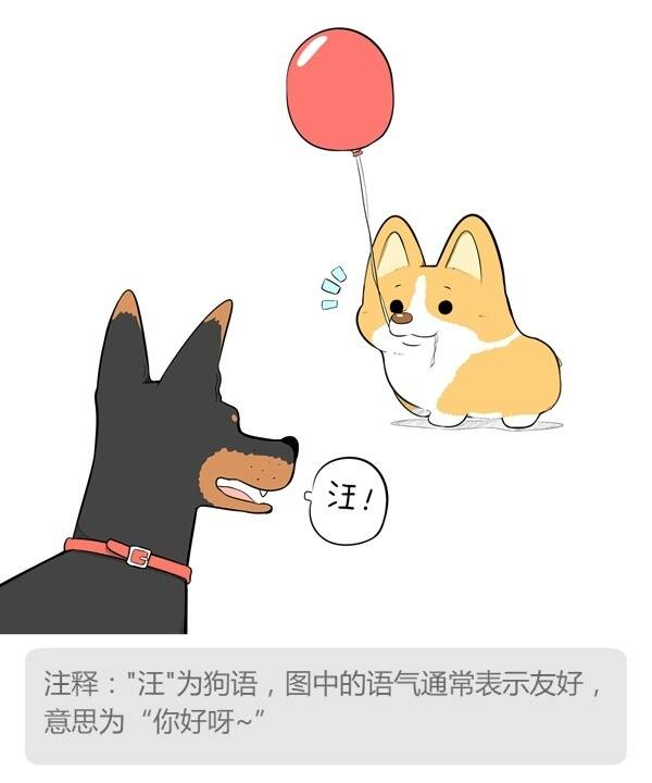 囧图170306:在厕所里看到了别的男孩子的手枪，害羞
