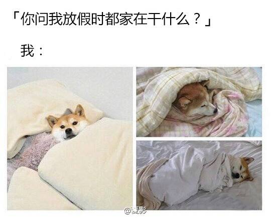 FUN来了170330:周六是愚人节公司会骗你上班 千万别信