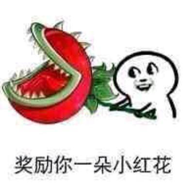 fun来了:一个周末都不下床 你前世是四件套吧 fun来了:一个周末都不下床 你前世是四件套吧图片