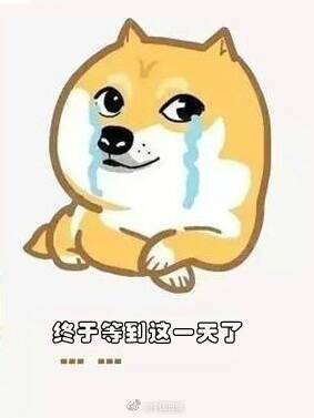 fun来了:自从学了上海话 我就只会嗯嗯啊啊了 fun来了:自从学了上海话 我就只会嗯嗯啊啊了图片