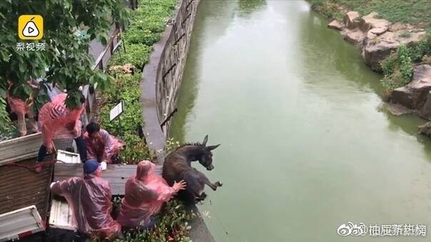 fun来了:他不好好搞音乐 就要沦落到继承家产 fun来了:他不好好搞音乐 就要沦落到继承家产图片