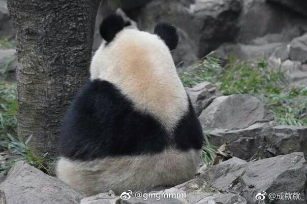 fun来了:他不好好搞音乐 就要沦落到继承家产 fun来了:他不好好搞音乐 就要沦落到继承家产图片