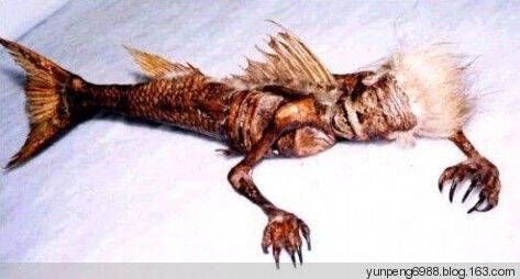 中国惨遭封杀的47大神秘事件,你听说过几个?