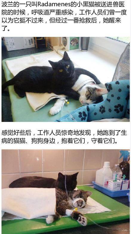 暖心150416:我遇见过死神了 他让我转告你们会没事的