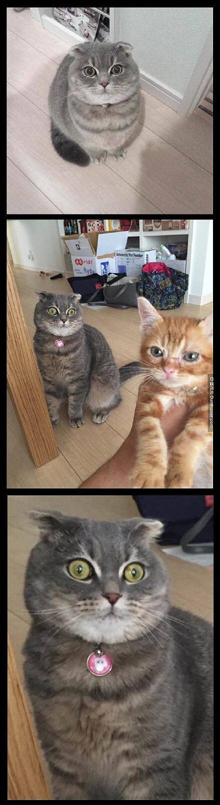 [囧图]中国哪里的姑娘最漂亮?朋友圈里!|36图