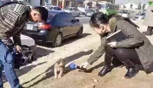七夕情人节就要到了,你被采访了吗?