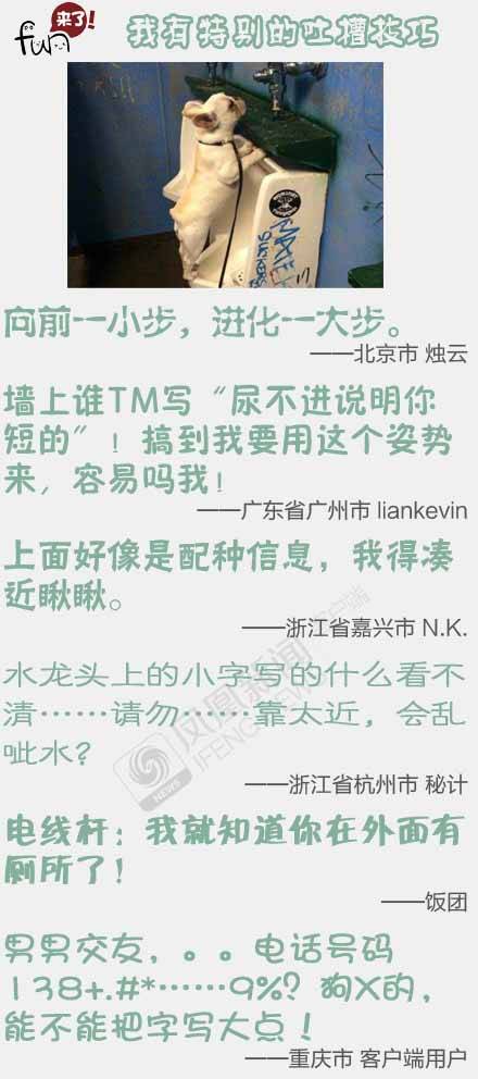  晚FUN来了151109:找媳妇先看丈母娘手臂|这毒贩打不过猫