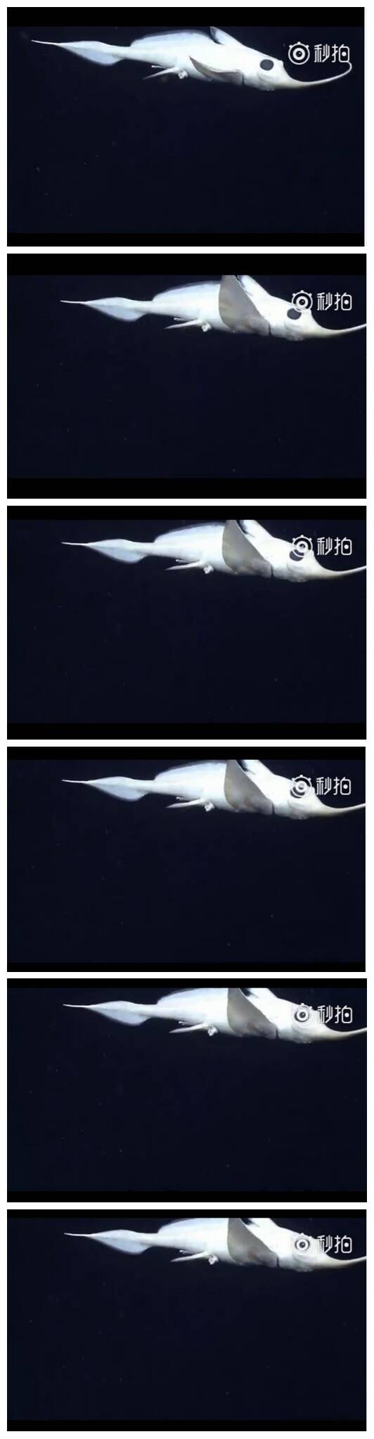  囧图151110:显然，我邻居从来没看过A片|44图