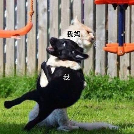 每次和我妈逛街 看到我喜欢的东西时