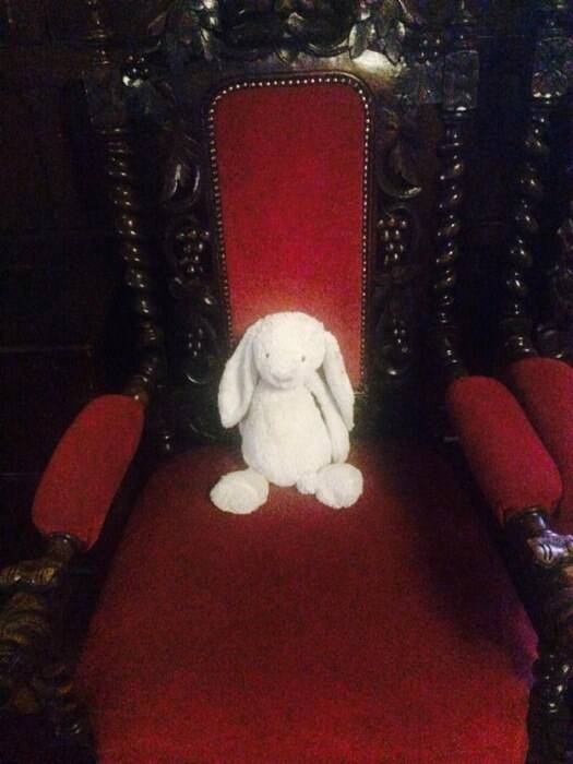 一个被客人遗落的兔子玩偶的神奇经历