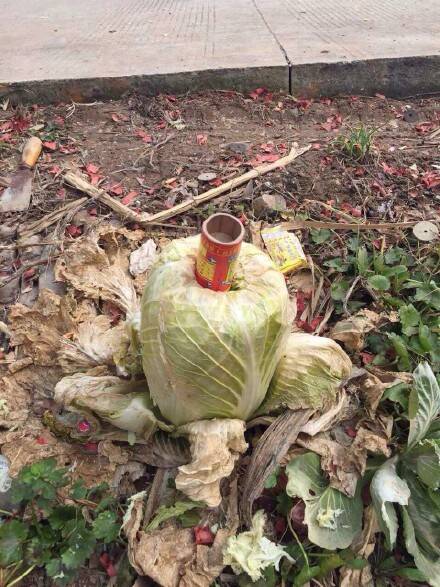  囧图160214:研究表明：中国人在汉代就发明了手机|47图