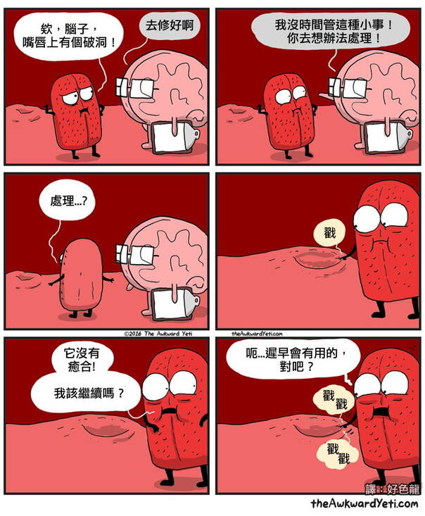  囧图160214:女票说今晚要给我狐女郎的服装诱惑|61图