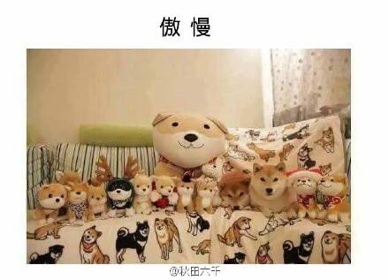  囧图160317:不要叫我萨摩，要叫我贵妇人|43图